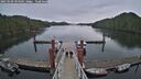 ./images/calvert/dock/20250509/dock20250509_094010M.jpg