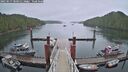 ./images/calvert/dock/20250517/dock20250517_080011M.jpg