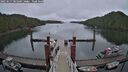 ./images/calvert/dock/20250517/dock20250517_085510M.jpg