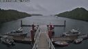 ./images/calvert/dock/20250519/dock20250519_172010M.jpg