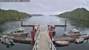 ./images/calvert/dock/20250519/dock20250519_194009M.jpg