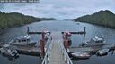 ./images/calvert/dock/20250520/dock20250520_054508M.jpg