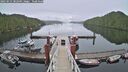 ./images/calvert/dock/20250521/dock20250521_082510M.jpg