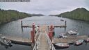 ./images/calvert/dock/20250523/dock20250523_081010M.jpg