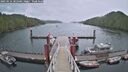 ./images/calvert/dock/20250524/dock20250524_202508M.jpg
