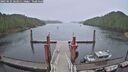 ./images/calvert/dock/20250525/dock20250525_062011M.jpg