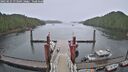 ./images/calvert/dock/20250525/dock20250525_073509M.jpg