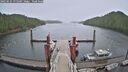 ./images/calvert/dock/20250525/dock20250525_075509M.jpg