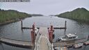 ./images/calvert/dock/20250525/dock20250525_083011M.jpg