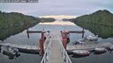 ./images/calvert/dock/20250601/dock20250601_052509M.jpg