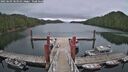 ./images/calvert/dock/20250603/dock20250603_103510M.jpg