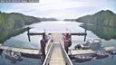 ./images/calvert/dock/20250605/dock20250605_084010M.jpg