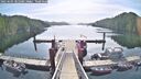 ./images/calvert/dock/20250605/dock20250605_085509M.jpg
