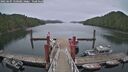./images/calvert/dock/20250605/dock20250605_130509M.jpg