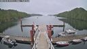 ./images/calvert/dock/20250606/dock20250606_094510M.jpg