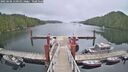 ./images/calvert/dock/20250606/dock20250606_110009M.jpg