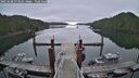 ./images/calvert/dock/20250608/dock20250608_073510M.jpg