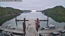 ./images/calvert/dock/20250608/dock20250608_074510M.jpg