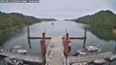 ./images/calvert/dock/20250611/dock20250611_073011M.jpg