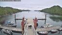./images/calvert/dock/20250612/dock20250612_115010M.jpg