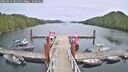 ./images/calvert/dock/20250612/dock20250612_141011M.jpg