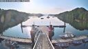./images/calvert/dock/20250615/dock20250615_071009M.jpg