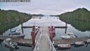 ./images/calvert/dock/20250615/dock20250615_201009M.jpg