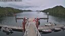 ./images/calvert/dock/20250616/dock20250616_164511M.jpg