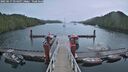 ./images/calvert/dock/20250617/dock20250617_054507M.jpg