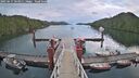 ./images/calvert/dock/20250617/dock20250617_063011M.jpg