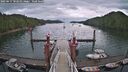 ./images/calvert/dock/20250617/dock20250617_102010M.jpg
