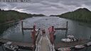 ./images/calvert/dock/20250617/dock20250617_103510M.jpg