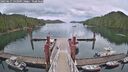 ./images/calvert/dock/20250617/dock20250617_143509M.jpg