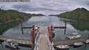 ./images/calvert/dock/20250617/dock20250617_144011M.jpg