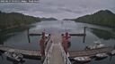 ./images/calvert/dock/20250617/dock20250617_151011M.jpg