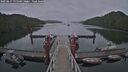 ./images/calvert/dock/20250617/dock20250617_175509M.jpg
