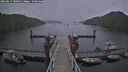 ./images/calvert/dock/20250617/dock20250617_180014M.jpg