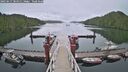 ./images/calvert/dock/20250617/dock20250617_184511M.jpg
