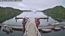 ./images/calvert/dock/20250617/dock20250617_185011M.jpg