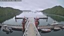 ./images/calvert/dock/20250617/dock20250617_185510M.jpg