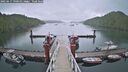 ./images/calvert/dock/20250617/dock20250617_190010M.jpg