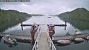 ./images/calvert/dock/20250617/dock20250617_190508M.jpg