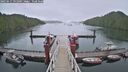 ./images/calvert/dock/20250617/dock20250617_191009M.jpg