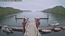 ./images/calvert/dock/20250617/dock20250617_202009M.jpg