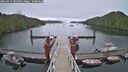 ./images/calvert/dock/20250617/dock20250617_203509M.jpg
