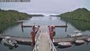 ./images/calvert/dock/20250617/dock20250617_204009M.jpg