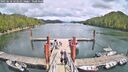 ./images/calvert/dock/20250618/dock20250618_143510M.jpg