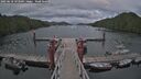 ./images/calvert/dock/20250618/dock20250618_193009M.jpg