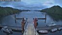 ./images/calvert/dock/20250619/dock20250619_045508M.jpg