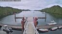 ./images/calvert/dock/20250619/dock20250619_054509M.jpg